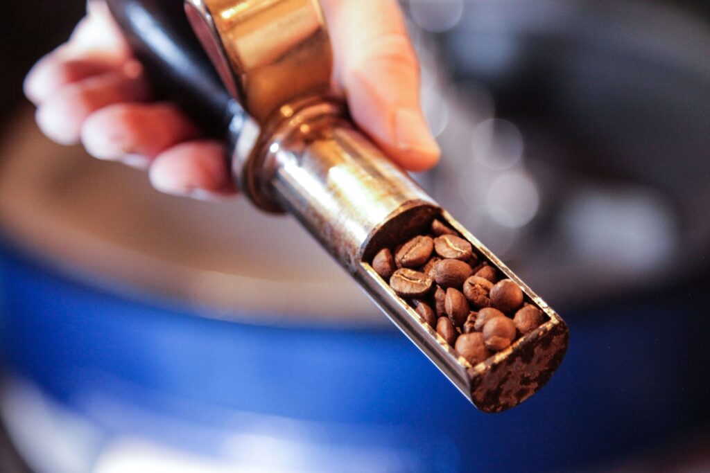 how to choose the right coffee roast for your taste